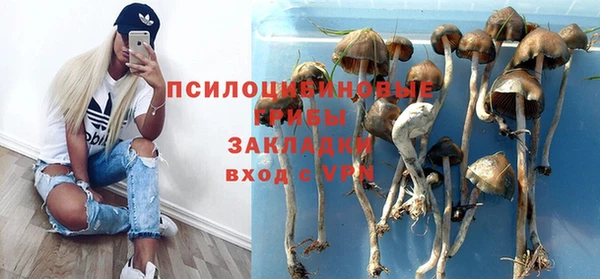 стаф Бугульма