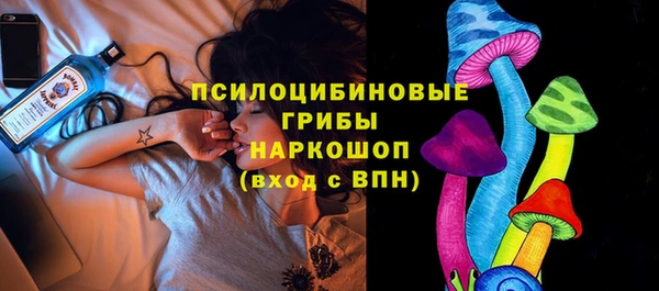 стаф Бугульма