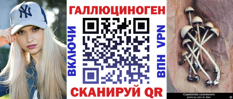 Галлюциногенные грибы прущие грибы  цена наркотик  Ачхой-Мартан 